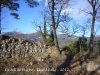 12-castell-de-puigbo-120226_568