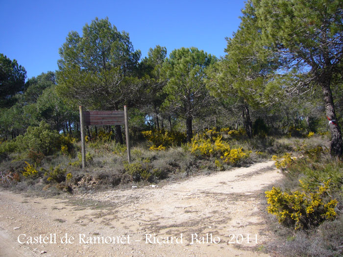 castell-de-ramonet-110319_534