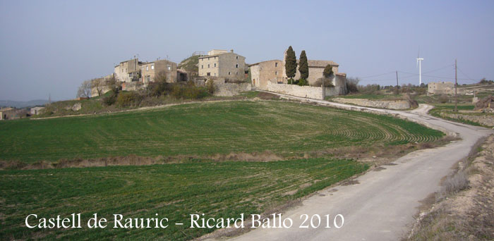 castell-de-rauric-100320_506bis