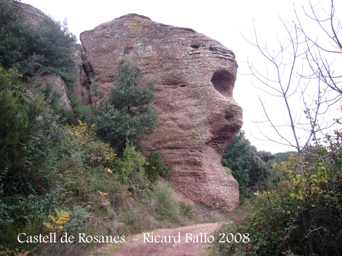 castell-de-rosanes-081127_501