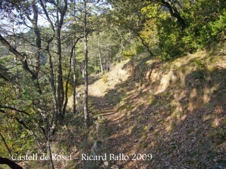 un camí planer que serpenteja per la muntanya.