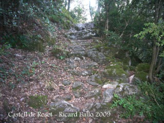 pedres de l’antic camí medieval