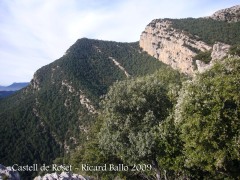 Vistes des del castell de Roset