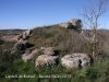 Castell de Rubiol