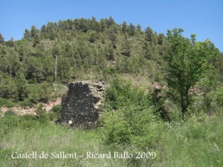 castell-de-sallent-090530_736