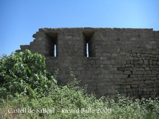 castell-de-sallent-090530_746