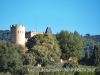 Castell de Samalús – Cànoves i Samalús