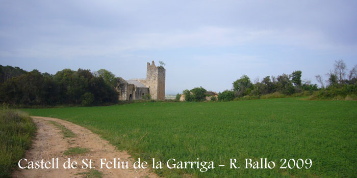 castell-de-sant-feliu-de-la-garriga-090520_506bis