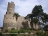 Castell de Sant Iscle