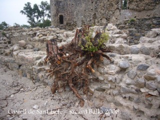 Castell de Sant Iscle. Vegetació eliminada de l'interior del castell.