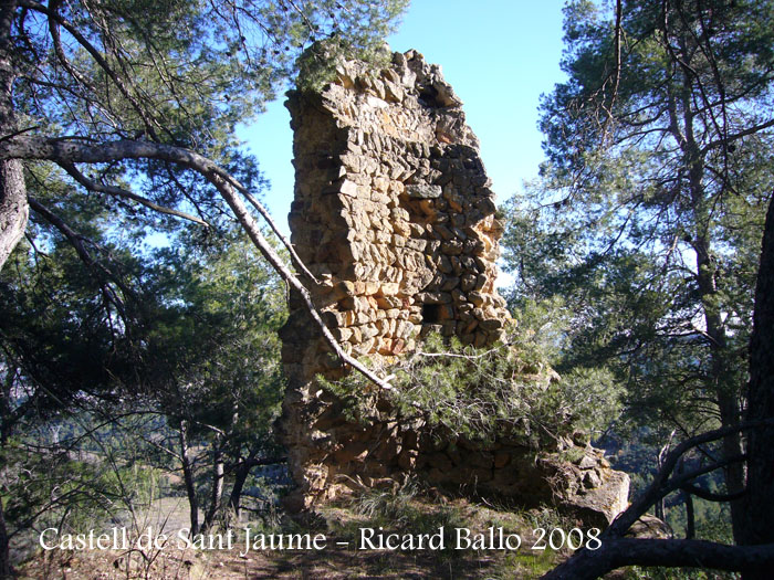 castell-de-sant-jaume-081211_528