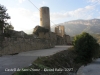 Castell de Sant Oïsme.