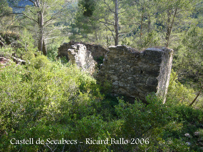 castell-de-secabecs-100612_508