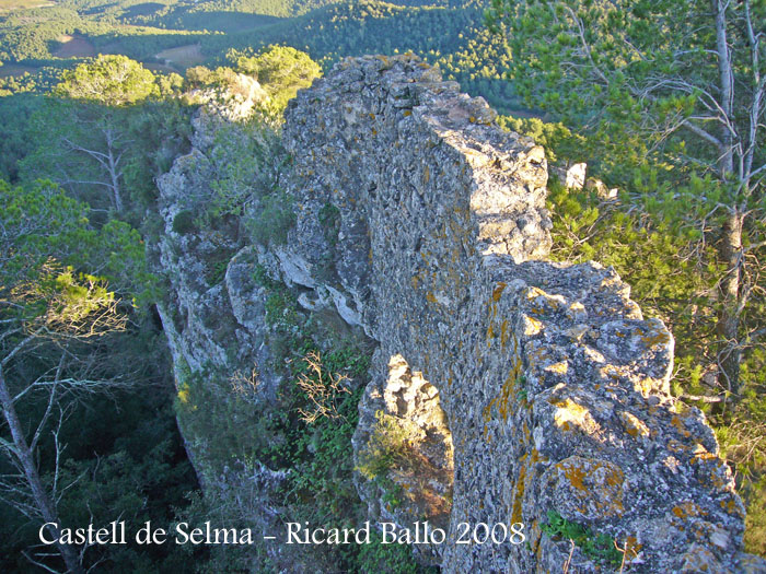 castell-de-selma-081113_503bis