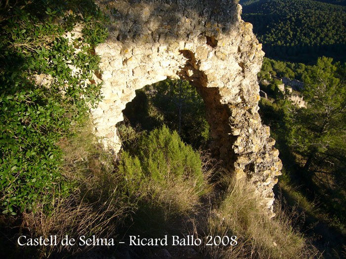 castell-de-selma-081113_505