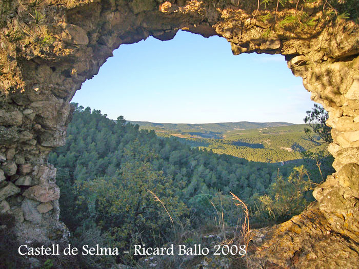 castell-de-selma-081113_521bis2