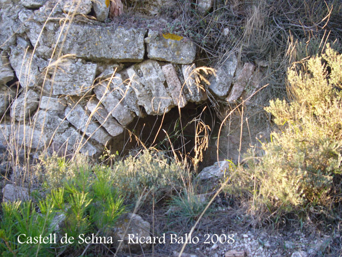 castell-de-selma-081113_532