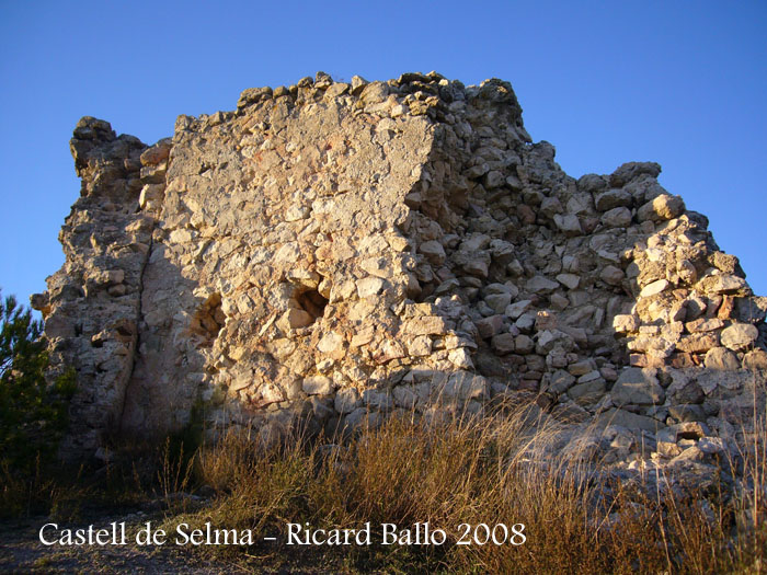 castell-de-selma-081113_534bis