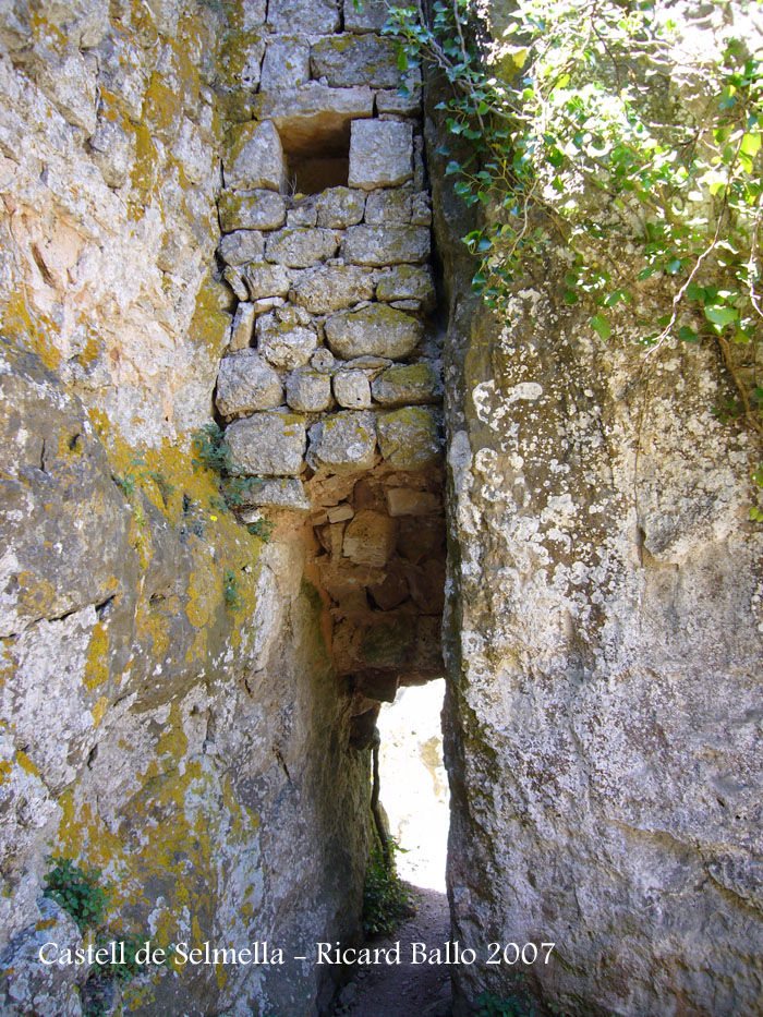 castell-de-selmella-070602_524