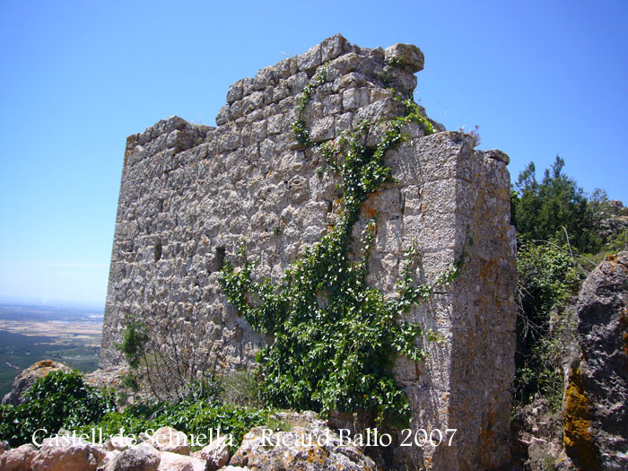 castell-de-selmella-070602_532