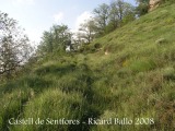 Castell de Sentfores