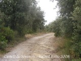 Castell de Sorerols