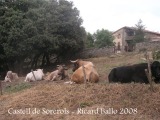 Masia de Sobiranes