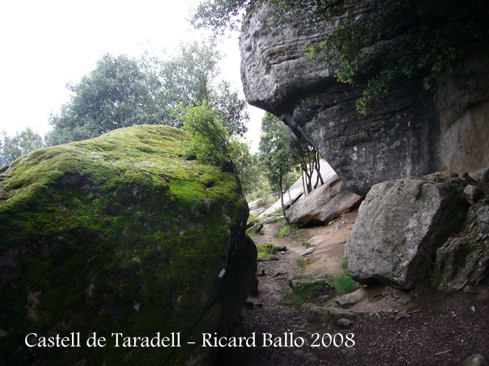 castell-de-taradell-080614_514