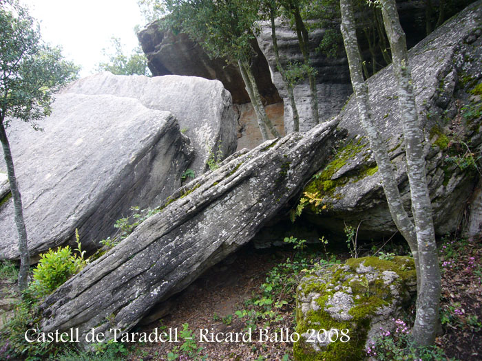 castell-de-taradell-080614_517