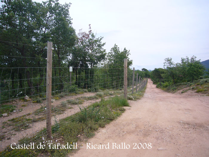 castell-de-taradell-itinerari_507