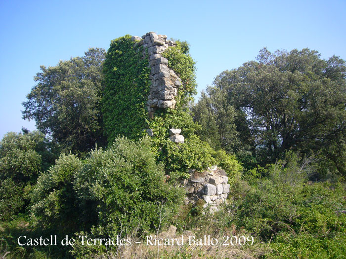 castell-de-terrades-090624_503