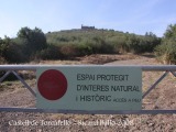 Camí al castell de Torcafelló