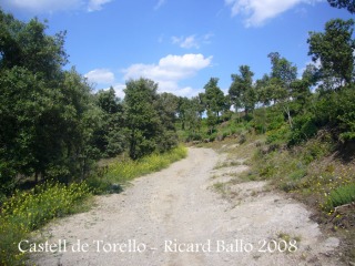 Castell de Torelló