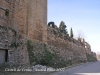 Castell de Verdú - Façana posterior.