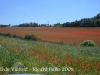 castell-de-vicfred-080622_561bis