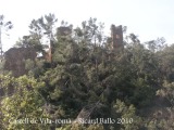 Castell de Vila-romà.