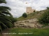 Castell del Catllar