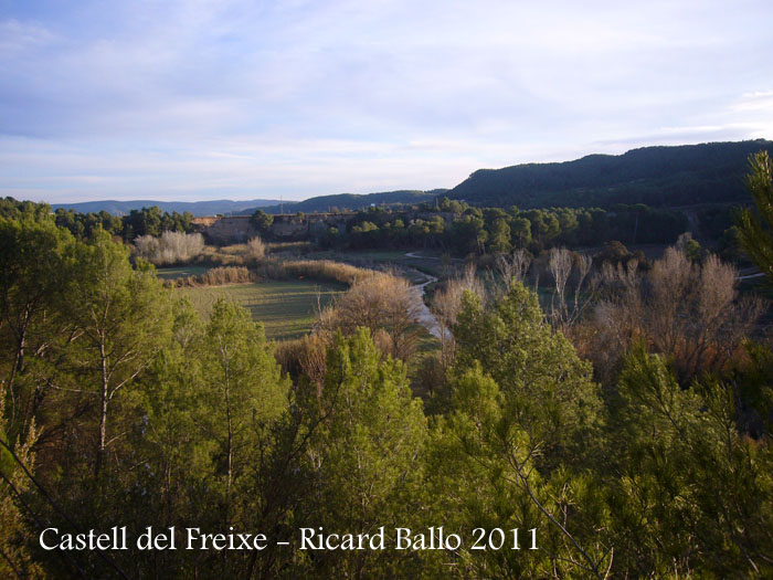 castell-de-freixe-110109_505