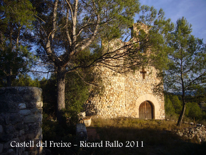 castell-de-freixe-110109_511