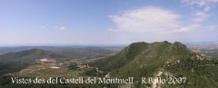 Vistes des del castell del Montmell.