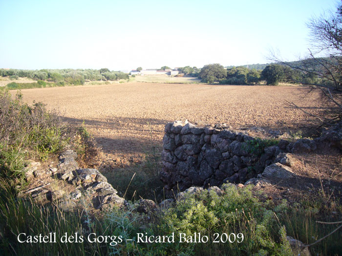 castell-dels-gorgs-090801_502