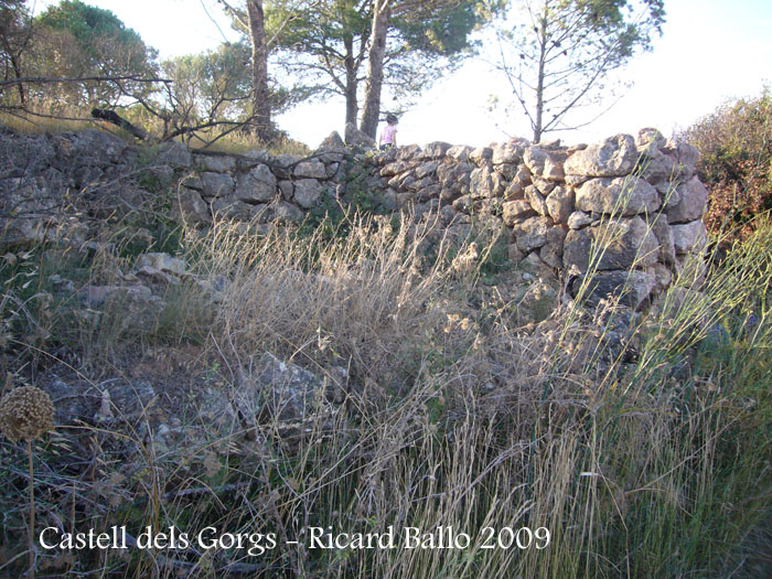 castell-dels-gorgs-090801_505