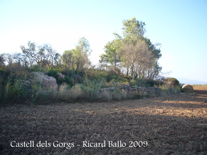 castell-dels-gorgs-090801_507