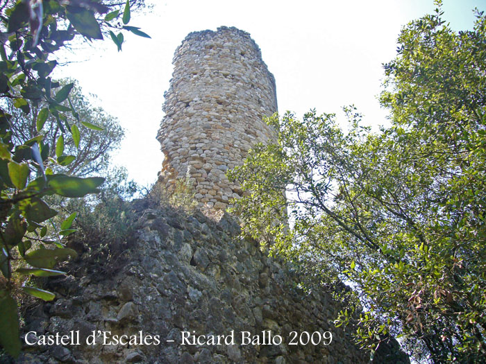 castell-d-escales-090624_511bis