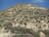 Castell d'Escarp - Des del lloc on es veu una visitant, a la fotografia anterior, cal enfilar-se fins el cim d’aquest turó.