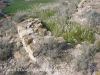 Castell d'Escarp - Una vista de les minses restes que interpretem poden pertànyer a aquesta edificació.