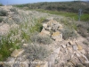 Castell d'Escarp - Una vista de les minses restes que interpretem poden pertànyer a aquesta edificació.