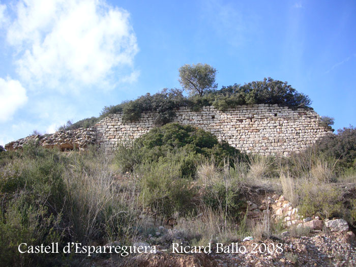 castell-d-esparreguera-081213_509