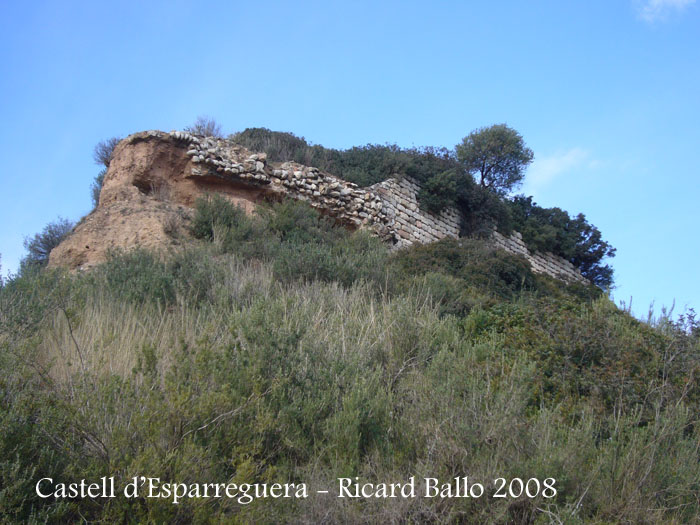 castell-d-esparreguera-081213_515