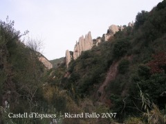 Castell d'Espases-¿ El nom d'Espases podria tenir quelcom a veure amb aquestes "espases naturals ?